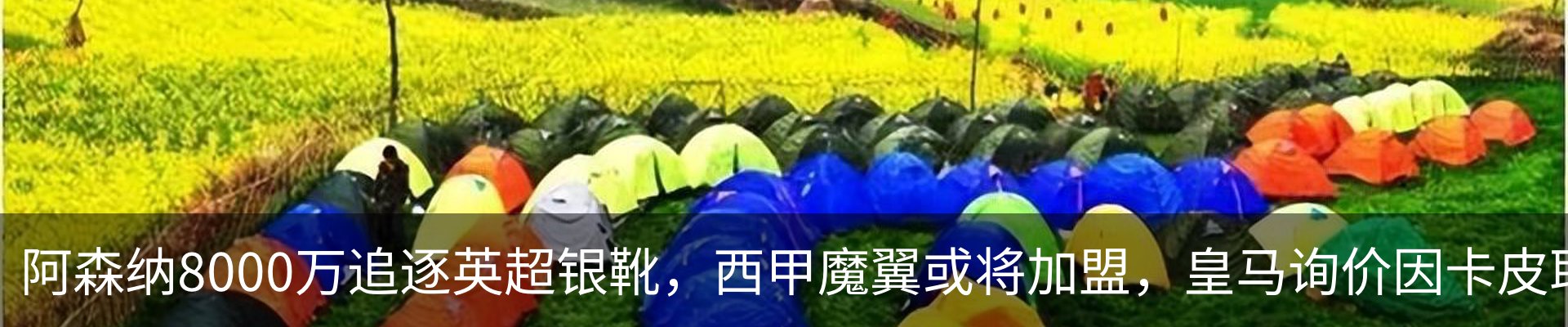 资讯动态